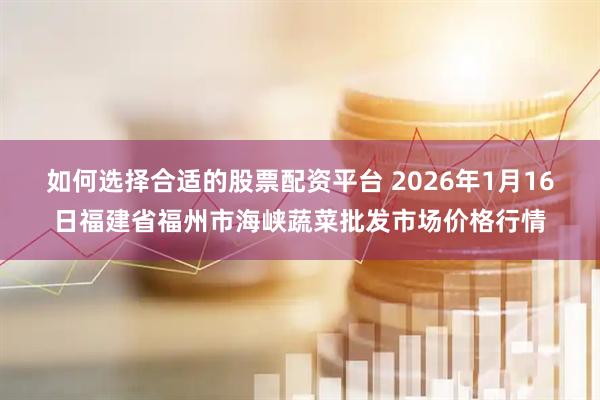 如何选择合适的股票配资平台 2026年1月16日福建省福州市海峡蔬菜批发市场价格行情